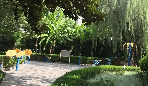 红楼之玉润冰炎